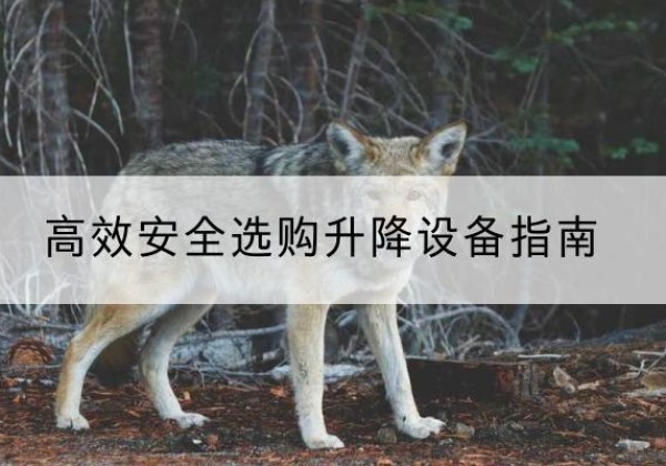 和林格尔升降货梯厂家推荐-*安全选购升降设备指南