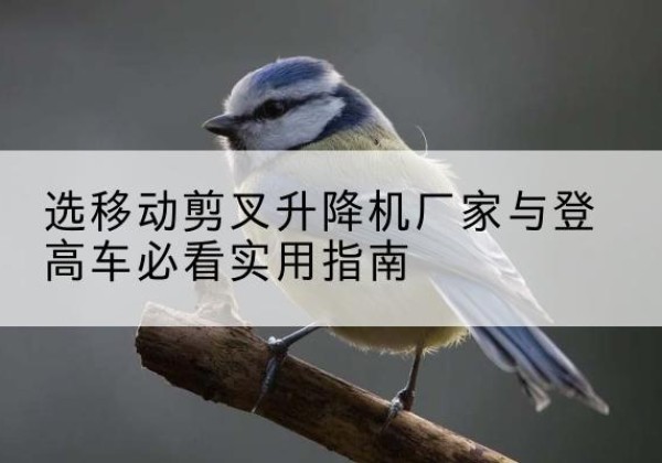 和林格尔电动升降机厂家-选移动剪叉升降机厂家与登高车必看实用指南