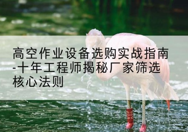 和林格尔剪叉式升降机厂家-高空作业设备选购实战指南-十年工程师揭秘厂家筛选核心法则